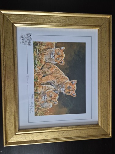 Stephen gayford wildlife art - wildlife,