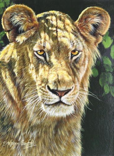 Stephen gayford dappled - stephen, 'dappled